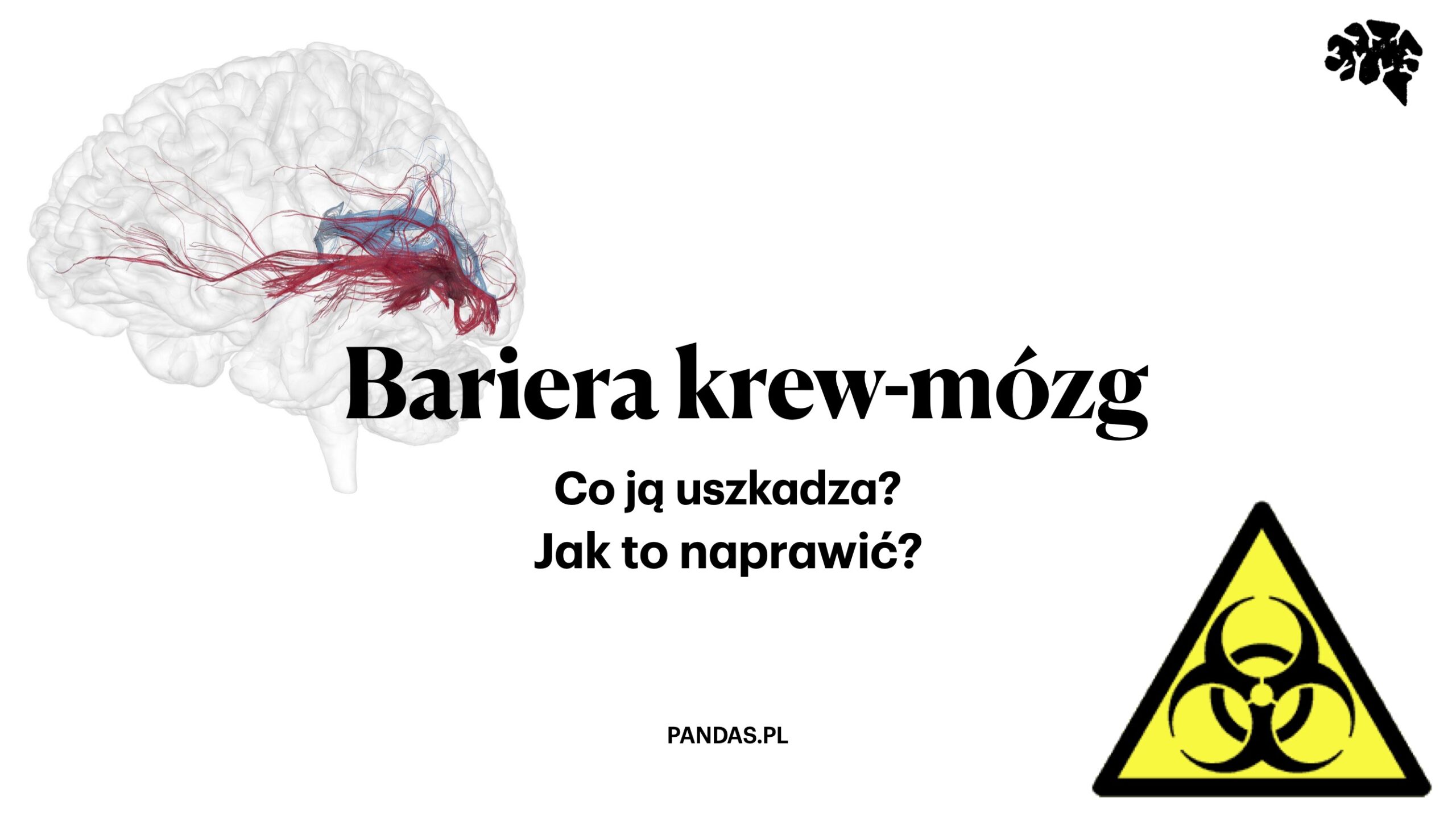 Bariera krew-mózg. Co ją uszkadza? Jak to naprawić?