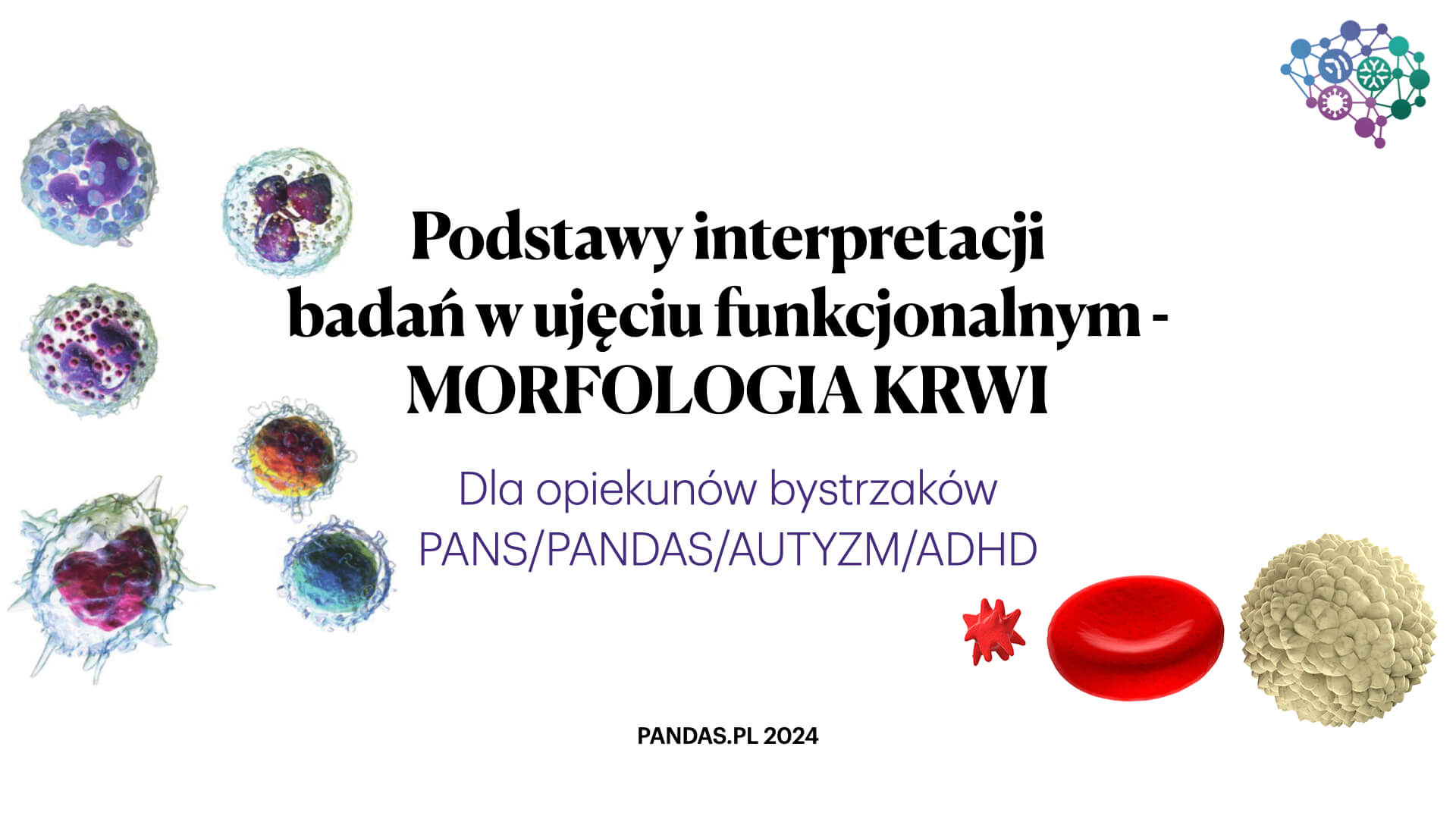 MORFOLOGIA KRWI - podstawy interpretacji badań